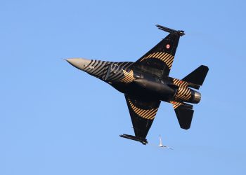 SOLOTÜRK ve martı birlikte gösteri yaptı