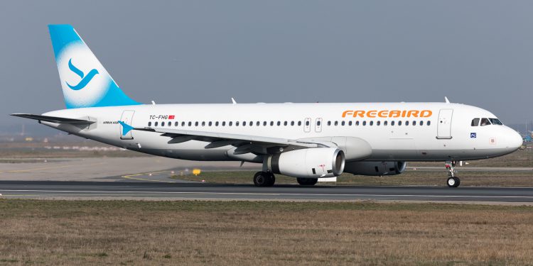 Körük demiri Freebird uçağını deldi