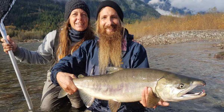 Helikopterle binlerce somon balığı taşınacak