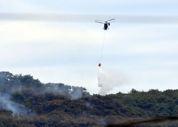 Yangındaki iki kurum THK ve Orman Bakanlığı