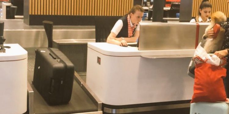 THY’den evcil hayvanlı yolculara özel kontuar