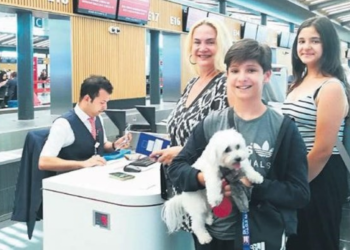 Evcil hayvanlara özel kontuvar