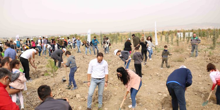 SunExpress’ten Ankara’da hatıra ormanı