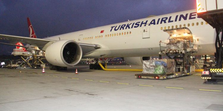 Tarihi eserler THY kargo ile getirildi