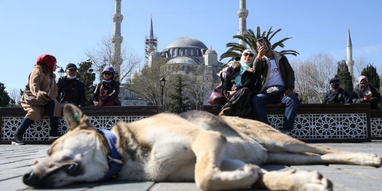 Virüsün etkilediği ülkelerden Türkiye’ye kaç turist geldi?