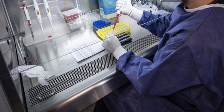 Yurt dışına çıkacaklar için PCR test ücreti açıklandı