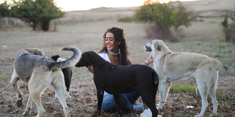 THY kabin memurundan sokak hayvanlarına destek