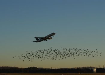 Dalaman’a gelen Rus uçağı tehlike atlattı