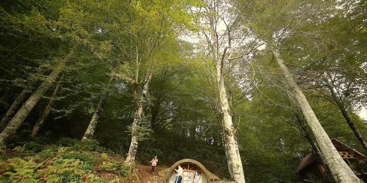 ‘Şelaleler ve göller şehri’ Düzce sonbaharda doğaseverleri cezbediyor