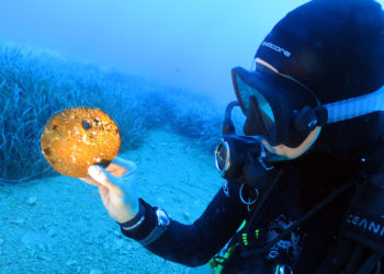 Tunç Çağı’ndan kalma ‘su altı hazinesi’ keşfedildi
