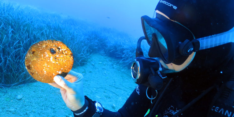 Tunç Çağı’ndan kalma ‘su altı hazinesi’ keşfedildi