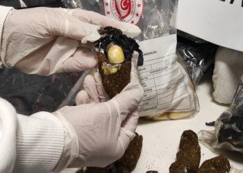 İstanbul Havalimanı’nda 155 kg uyuşturucu ele geçirildi