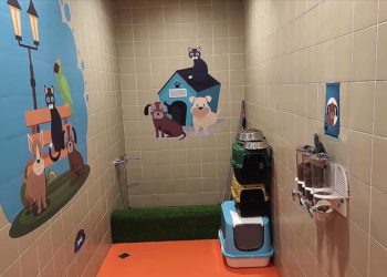 İstanbul Havalimanı’nda ‘Evcil Hayvan Odası’ oluşturuldu