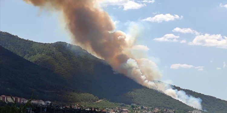 Ormanlar yanıyor yangın uçağı yok!