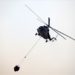 Azerbaycan yangınla mücadele için helikopterler gönderiyor