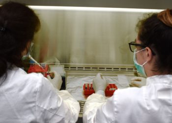 Airbus, uzayda minyatür insan dokusu üretiyor