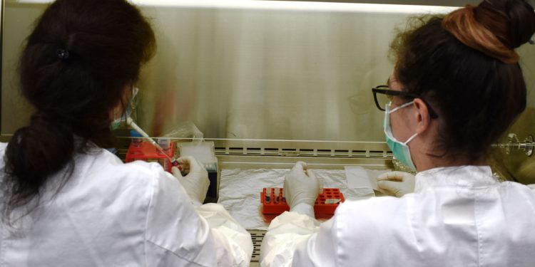 Airbus, uzayda minyatür insan dokusu üretiyor