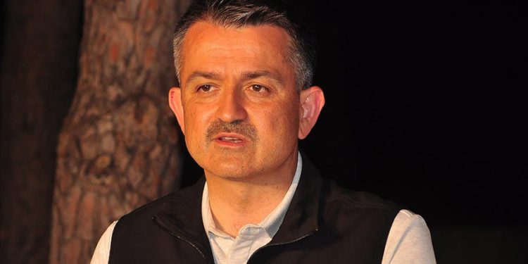 Bakan Pakdemirli: Uçak filomuzu çeşitli ülkeden gelenlerle 15’e çıkardık