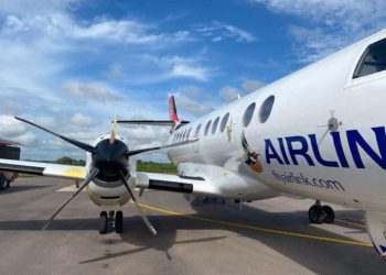 Yolcu uçağına kuş çarptı: Parçalanan pervane kabini deldi