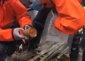 Çin’de düşen uçağın kara kutusu bulundu