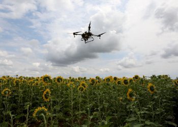 Trakya’daki tırtıl basan tarlalara drone ile müdahale ediliyor