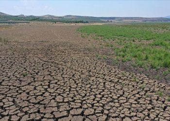Türkiye, küresel ısınma ve enerji üretiminde dönüşüm