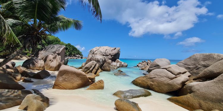 En çok tropik adalara uçmayı seviyorlar!