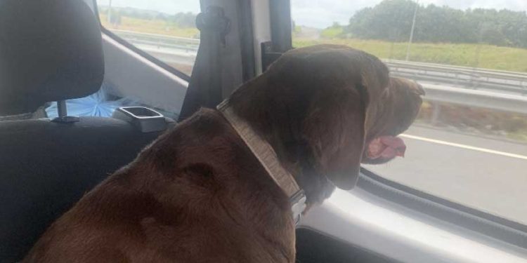 Pati’nin günlüğünden bir İstanbul-Kıbrıs yolculuğu