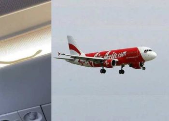 Uçakta yılan paniği!