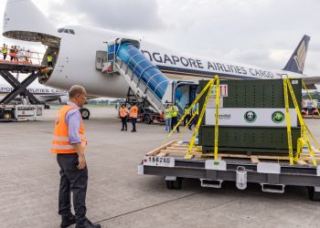 Dev panda yavrusunu Çin’e Singapur Havayolları taşıdı