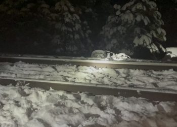 ABD’de uçak kazası: 2 kişi öldü