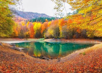 Milli parklar bayramda ziyaretçilerini bekliyor