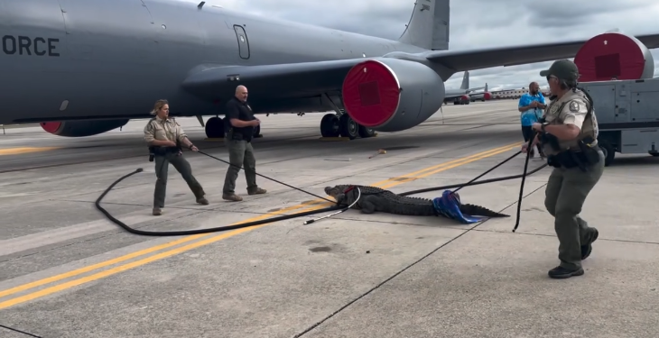 Havalimanında timsah yakalandı!