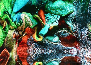 THY, Refik Anadol ile “Inner Portrait”i sundu