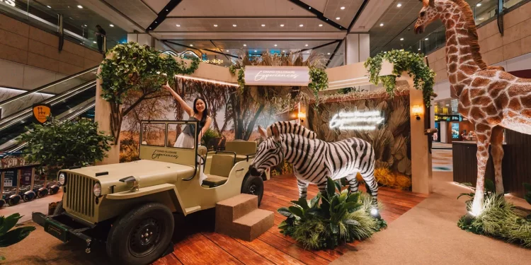 Changi’nin milyonerler kampanyası sürüyor