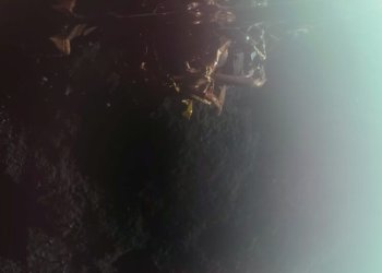 ABD’li uzay aracı “Blue Ghost” Ay’a başarıyla iniş yaptı