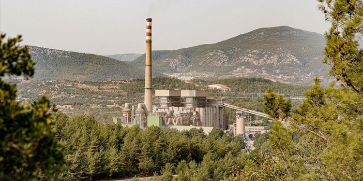 Ya zeytinlikler taşınacak ya da santral kapanacak!