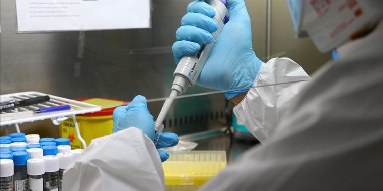 Kıbrıs’ta deli dana hastalığı var mı?